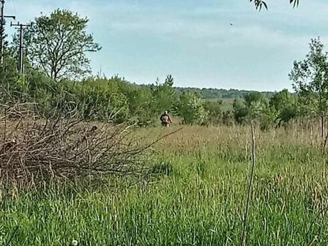 Grunt na sprzedaż w Poręba, Śląskie