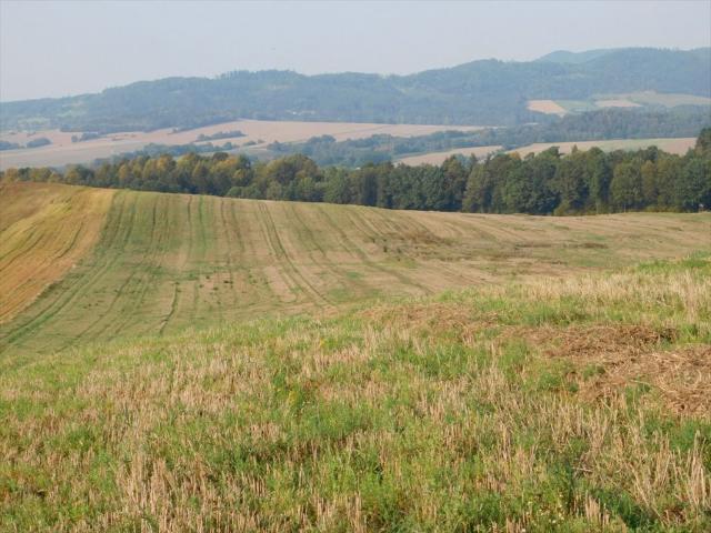 Grunt na sprzedaż w Jaszkowa Dolna, Dolnośląskie