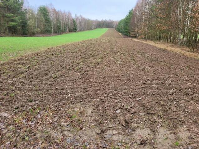 Grunt na sprzedaż w Białaczów, Łódzkie