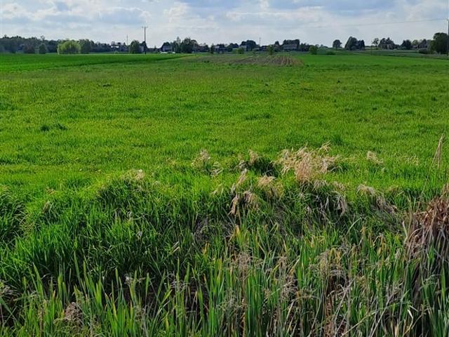 Grunt na sprzedaż w Opatów, Śląskie