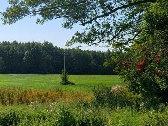 Grunt na sprzedaż w Dobrzyniewo Duże, Podlaskie