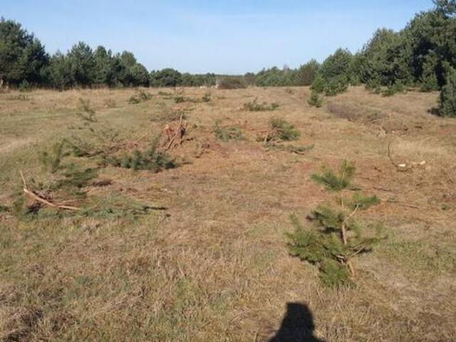 Grunt na sprzedaż w Babiak, Wielkopolskie