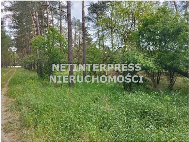 Grunt na sprzedaż w Drezdenko, powiat strzelecko-drezdenecki