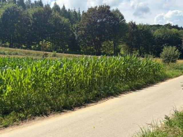 Grunt na sprzedaż w Miechów, Małopolskie
