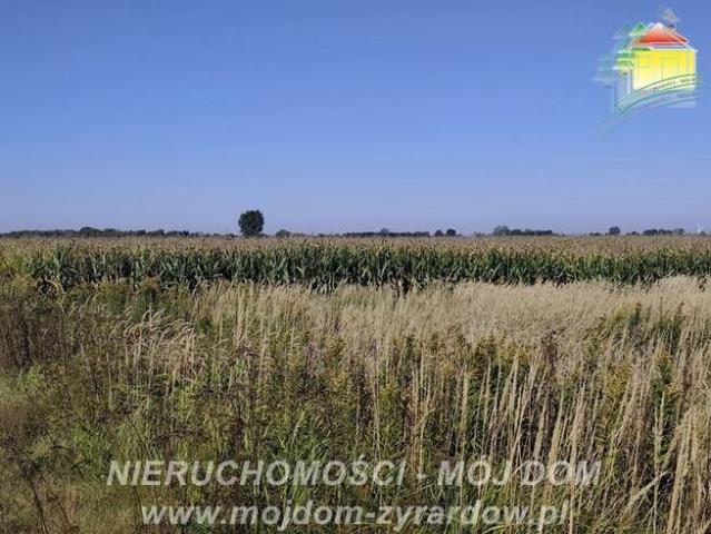 Grunt na sprzedaż w Wiskitki, powiat żyrardowski