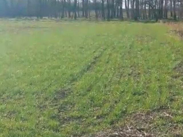 Grunt na sprzedaż w Suszec, Śląskie