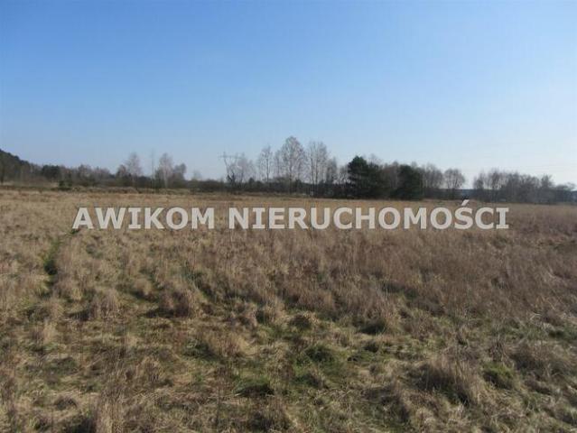 Grunt na sprzedaż w Bolimów, Łódzkie