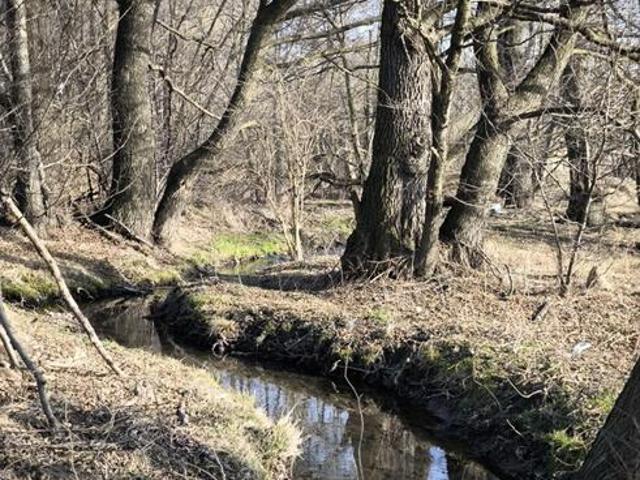 Grunt na sprzedaż w Żywiec, Śląskie