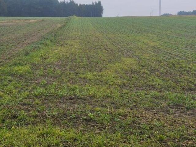 Grunt na sprzedaż w Lądek, Wielkopolskie