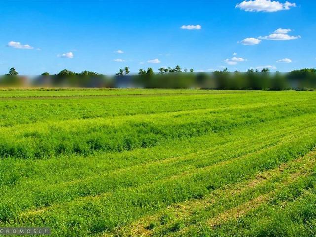 Grunt na sprzedaż w Zielonki, Małopolskie