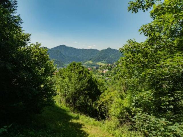 Grunt na sprzedaż w Szczawnica, powiat nowotarski