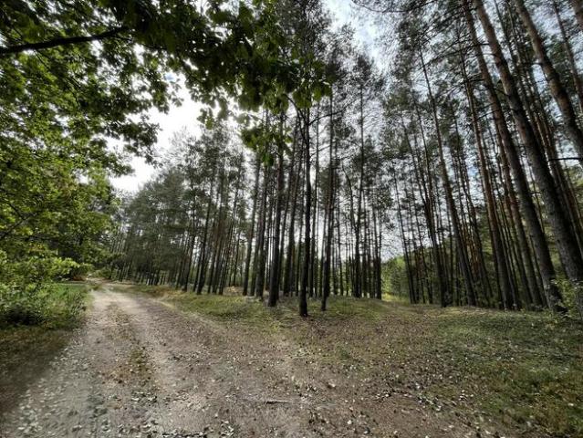 Grunt na sprzedaż w Stanisławów, Mazowieckie