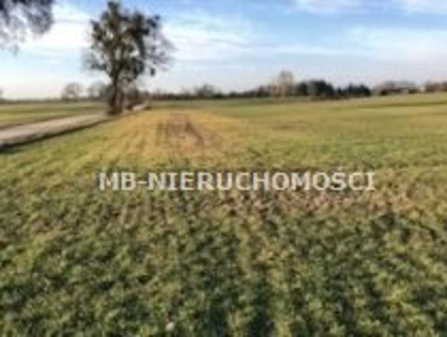 Grunt na sprzedaż w Koronowo, Kujawsko-pomorskie