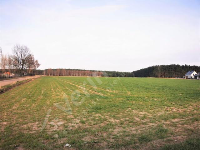 Grunt na sprzedaż w Leszno, Wielkopolskie
