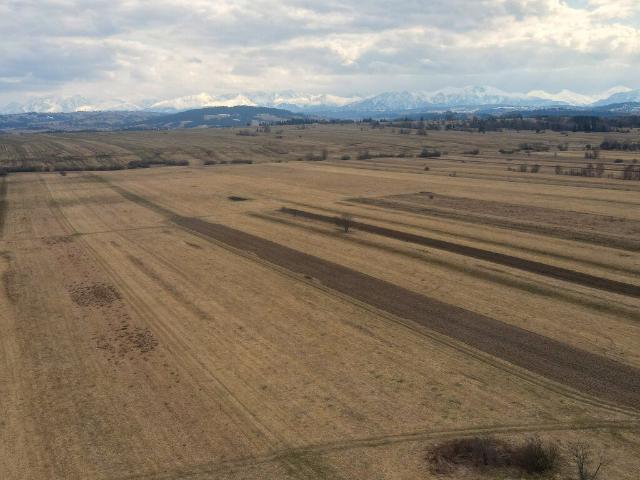 Grunt na sprzedaż w Czarny Dunajec, Małopolskie