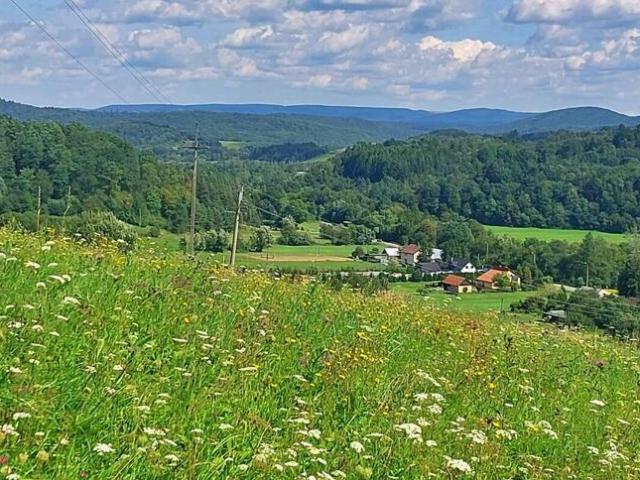 Grunt na sprzedaż w Baligród, Podkarpackie