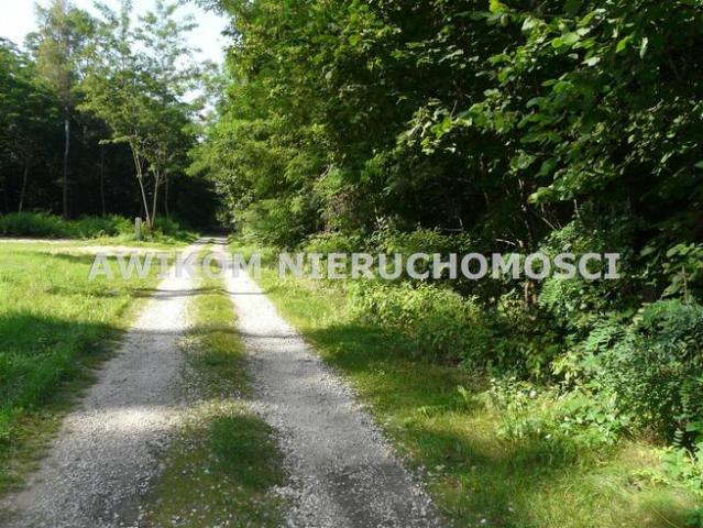 Grunt na sprzedaż w Puszcza Mariańska, Mazowieckie