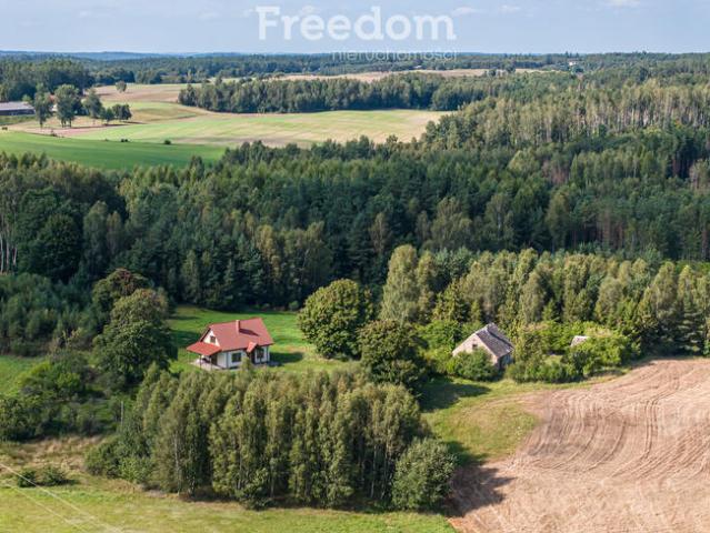 Grunt na sprzedaż w Linia, Pomorskie