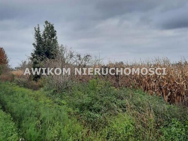Grunt na sprzedaż w Radziejowice, Mazowieckie