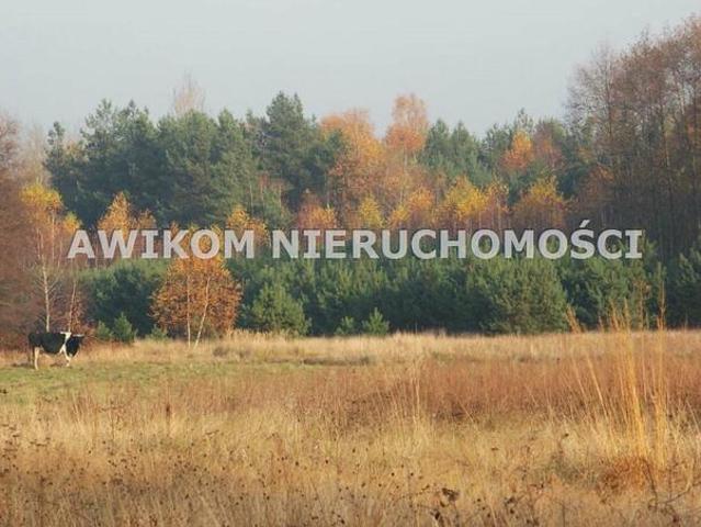 Grunt na sprzedaż w Skierniewice, Łódzkie