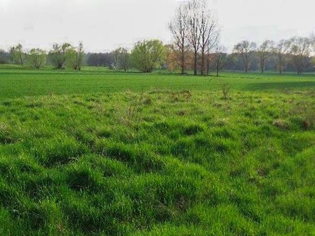 Grunt na sprzedaż w Żarów, Dolnośląskie