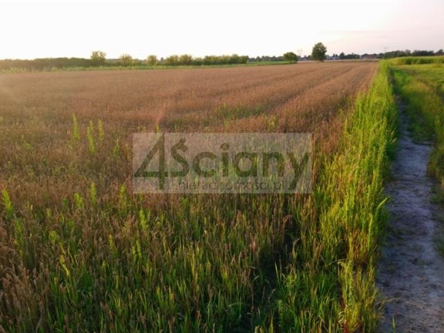 Grunt na sprzedaż w Błonie, Mazowieckie