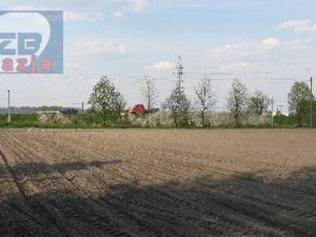 Grunt na sprzedaż w Błonie, Mazowieckie
