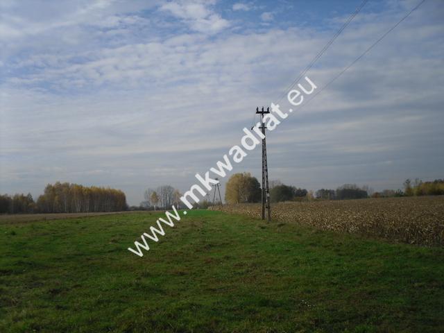 Grunt na sprzedaż w Baranów, Mazowieckie