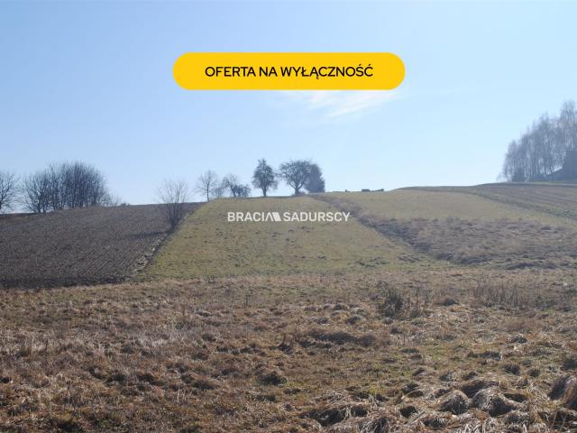 Grunt na sprzedaż w Bodzanów, Małopolskie