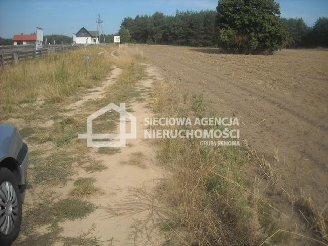Grunt na sprzedaż w Cekcyn, Kujawsko-pomorskie