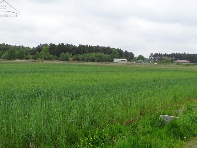 Grunt na sprzedaż w Ceków-kolonia, Wielkopolskie