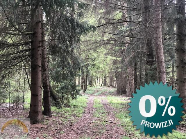 Grunt na sprzedaż w Czarna Białostocka, Podlaskie