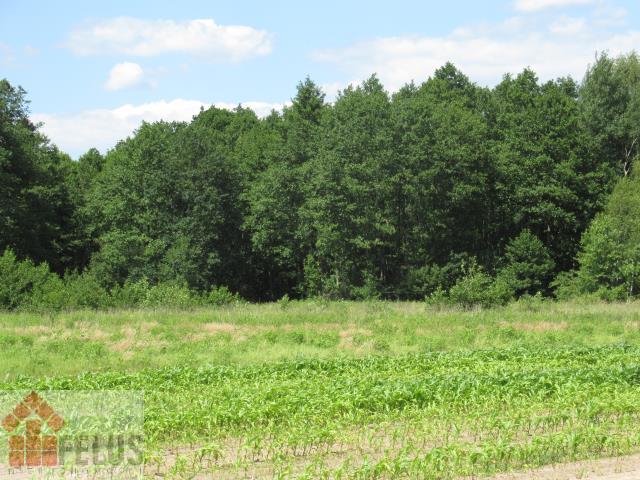 Grunt na sprzedaż w Czernichów, Małopolskie