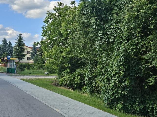 Grunt na sprzedaż w Dąbrowa, Świętokrzyskie