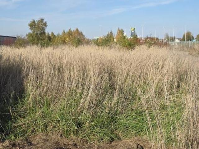 Grunt na sprzedaż w Dąbrowa Górnicza, Śląskie