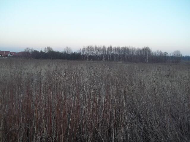 Grunt na sprzedaż w Długołęka, Dolnośląskie