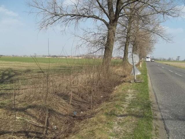 Grunt na sprzedaż w Domaniów, Dolnośląskie