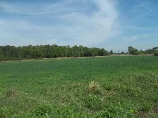 Grunt na sprzedaż w Domaniów, Dolnośląskie