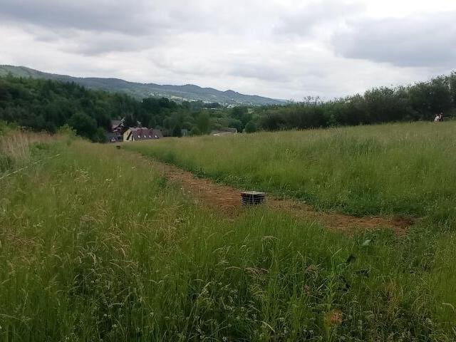 Grunt na sprzedaż w Domaradz, Podkarpackie