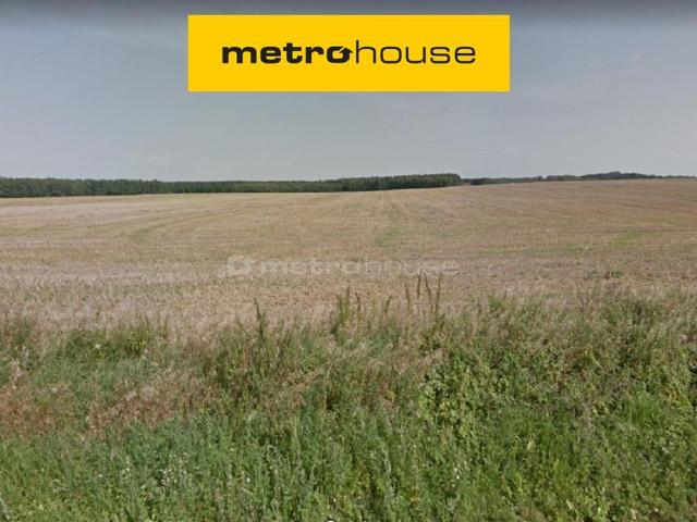 Grunt na sprzedaż w Dopiewo, Wielkopolskie