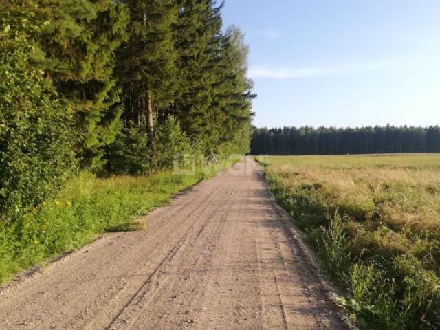 Grunt na sprzedaż w Ełk, Warmińsko-mazurskie