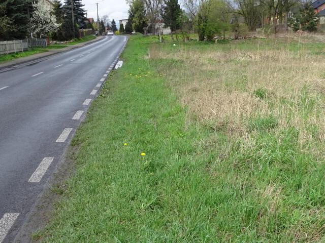 Grunt na sprzedaż w Żelazków, Wielkopolskie