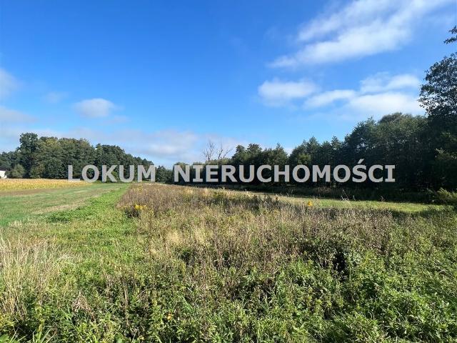 Grunt na sprzedaż w Godów, Śląskie