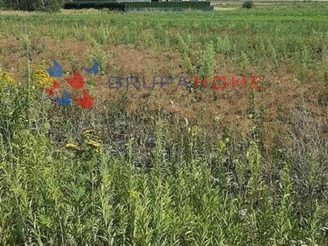 Grunt na sprzedaż w Lesznowola, Mazowieckie