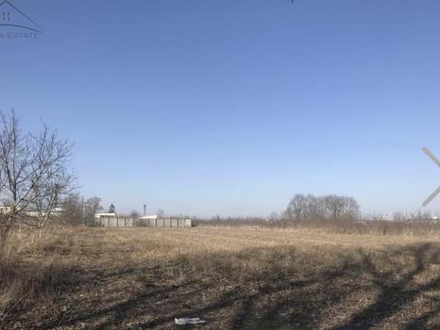 Grunt na sprzedaż w Kalisz, Wielkopolskie