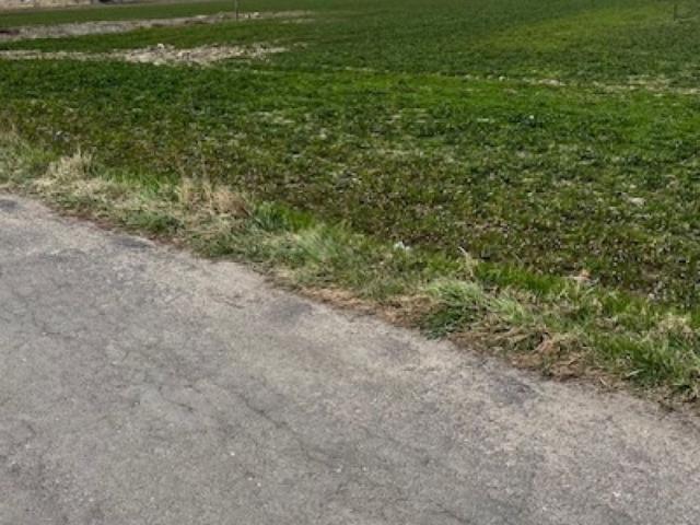Grunt na sprzedaż w Kalisz, Wielkopolskie
