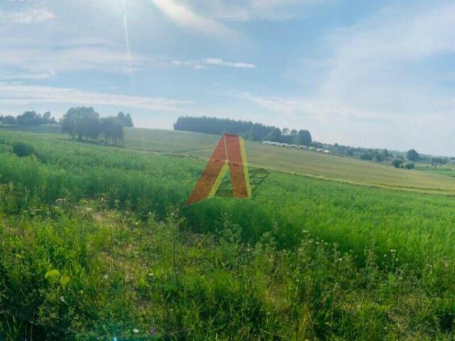 Grunt na sprzedaż w Koniusza, Małopolskie