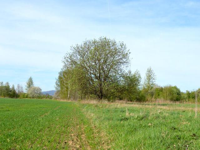 Grunt na sprzedaż w Krosno, Podkarpackie