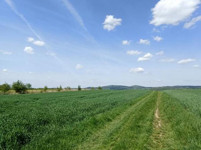 Grunt na sprzedaż w Krosno, Podkarpackie
