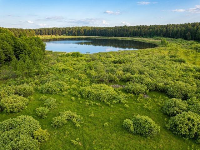 Grunt na sprzedaż w Kwiejce Nowe, Wielkopolskie